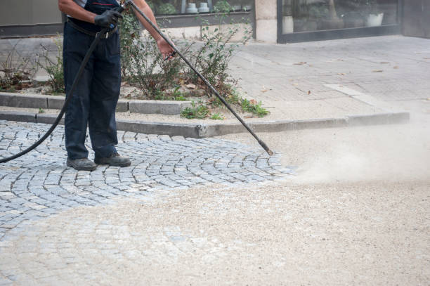Best Driveway Pressure Washing  in Timberline Fernwood, AZ